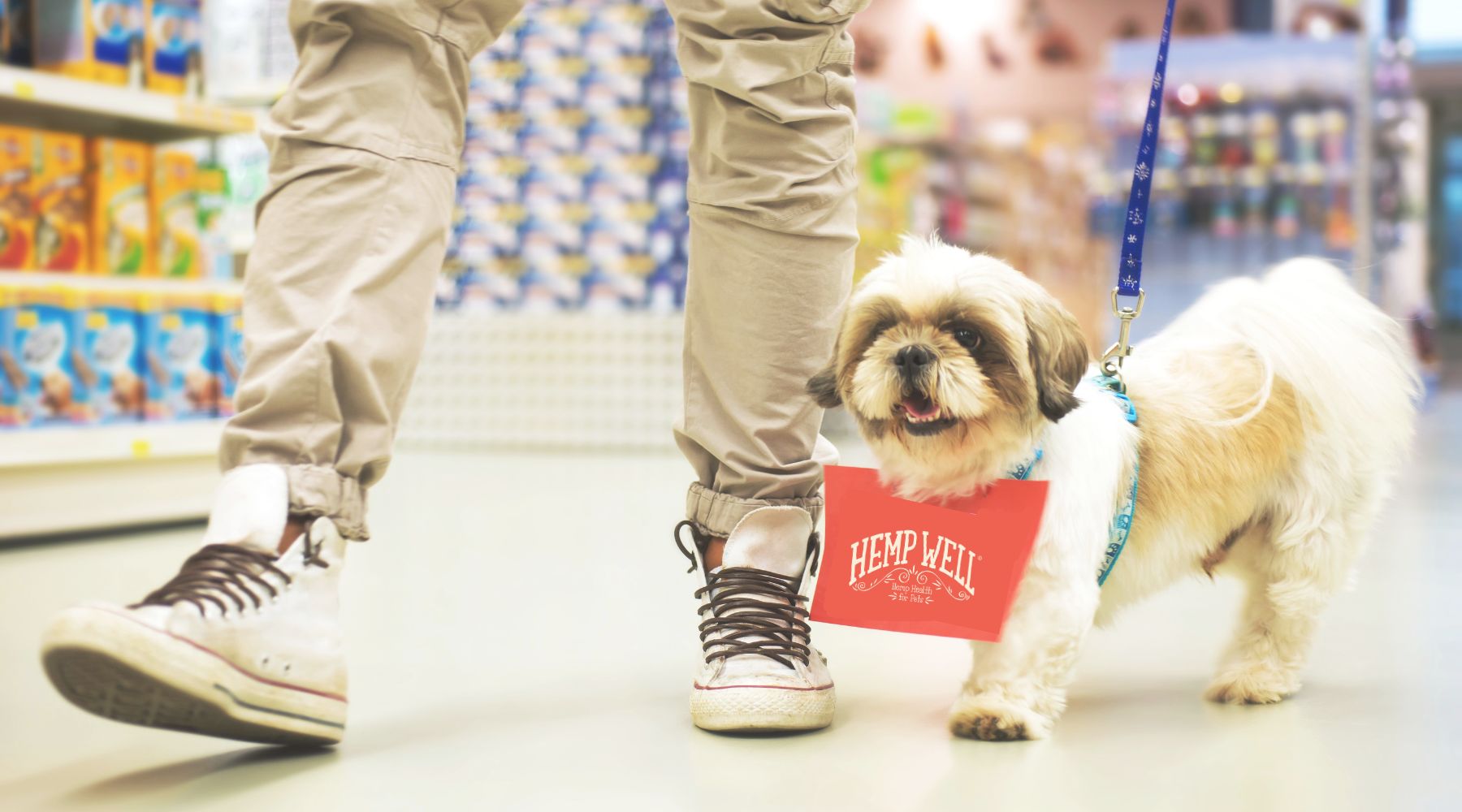 Boost Your Store’s Visibility with Hemp Well
