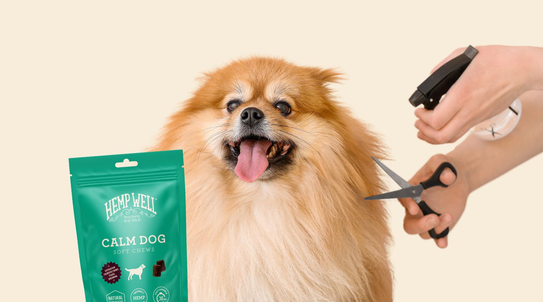 Grow Your Grooming Business with Hemp Well