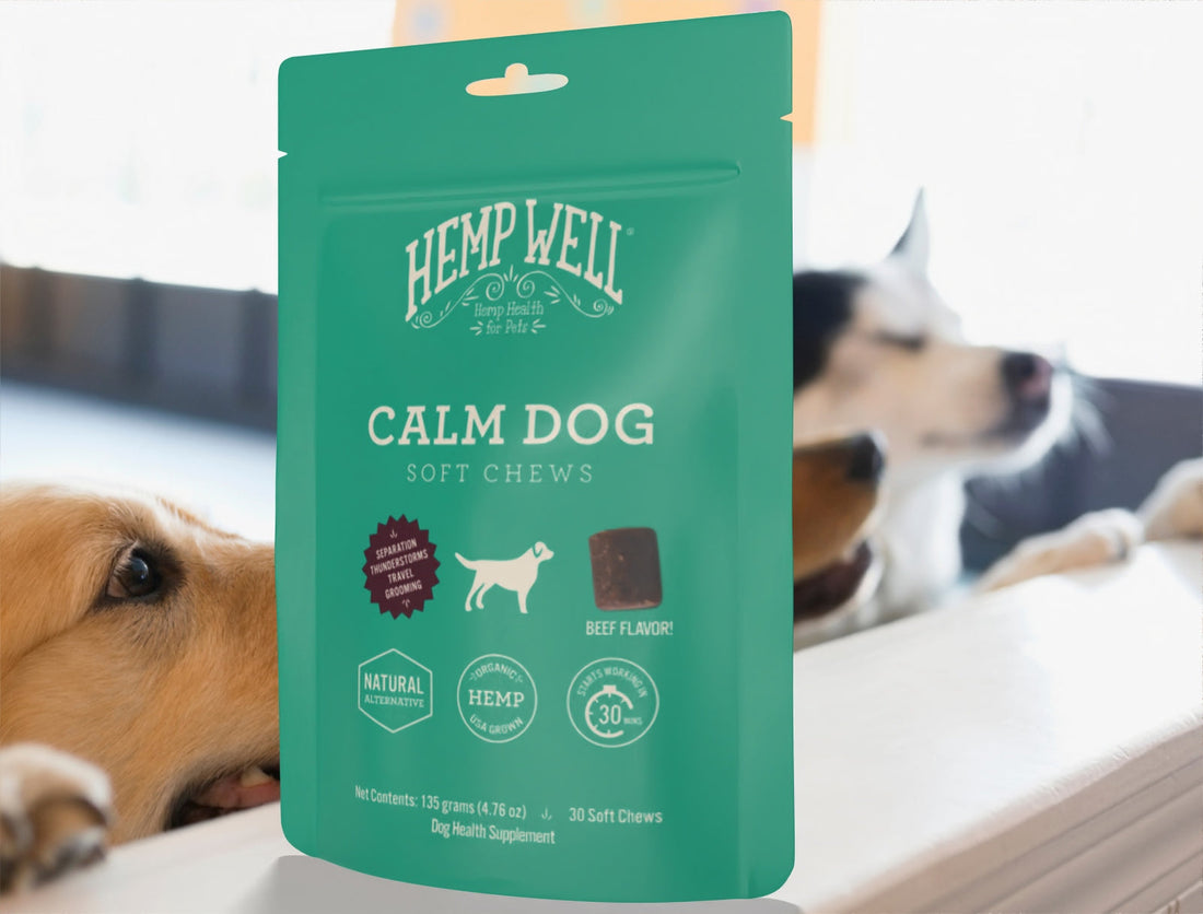 More Wags, More Stays: Stock Hemp Well at Your Doggy Daycare