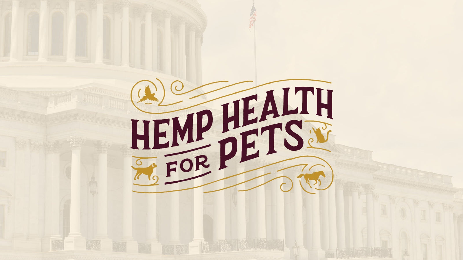 Recent Changes in Congress, CBD, and How Hemp Well Is Prepared