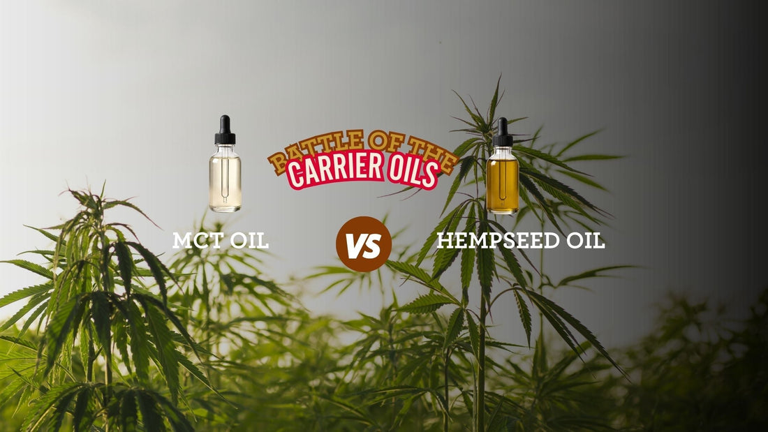 MCT Oil vs. Hempseed Oil: Choosing the Right Carrier for Pet CBD