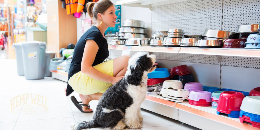 Why Your Store Should Resell Hemp Well