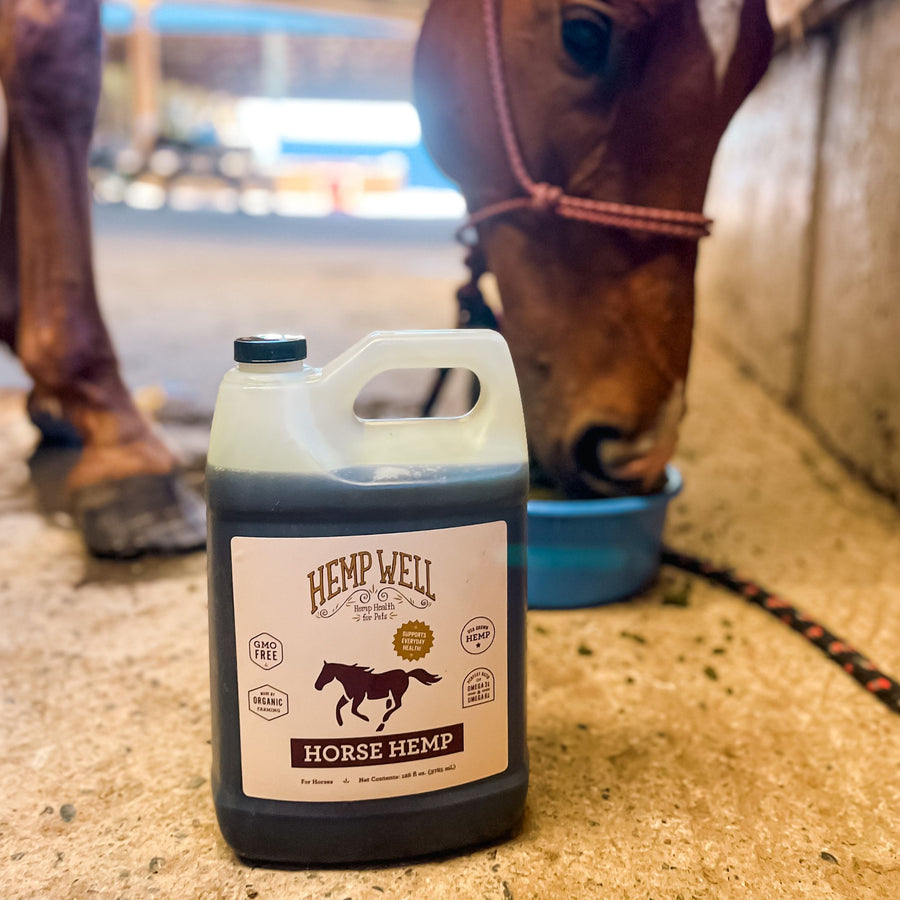 Horse Products