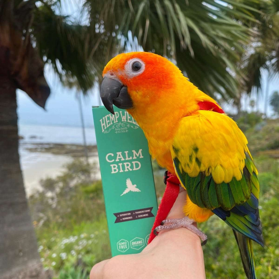 Bird Products