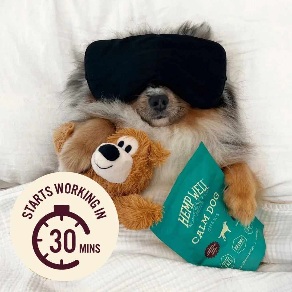 Calm Dog Soft Chew 8 ct Hang Strip Kit (12 units)